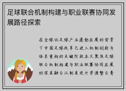 足球联合机制构建与职业联赛协同发展路径探索