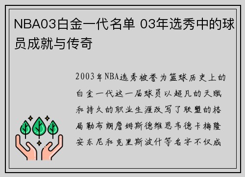 NBA03白金一代名单 03年选秀中的球员成就与传奇