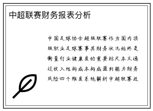 中超联赛财务报表分析