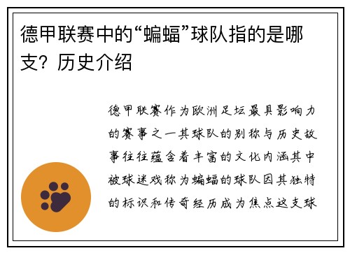 德甲联赛中的“蝙蝠”球队指的是哪支？历史介绍